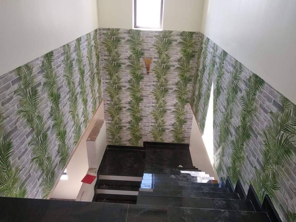 Giấy Dán Tường