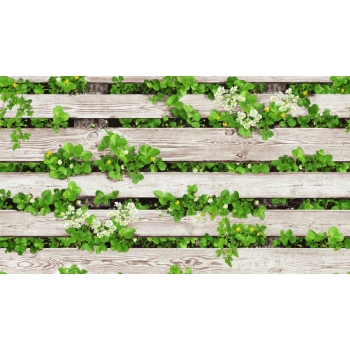 Địa Chỉ mua Giấy Dán Tường rẻ nhất tại Lâm Đồng - Đà Lạt