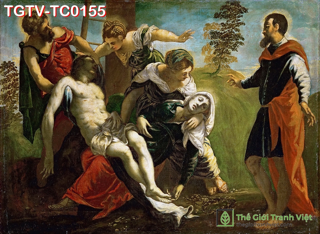 TGTV-TC0155