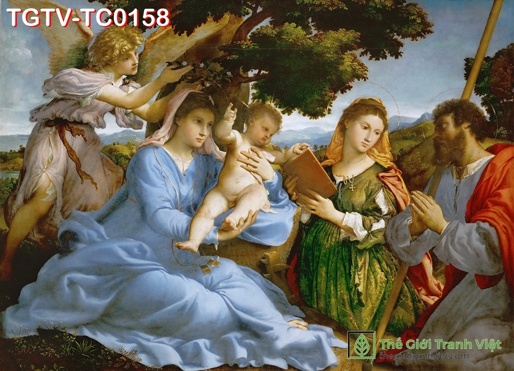 TGTV-TC0158