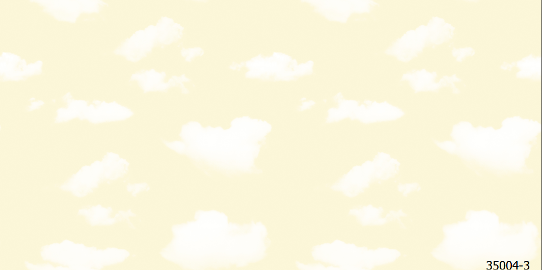 35004-3.png