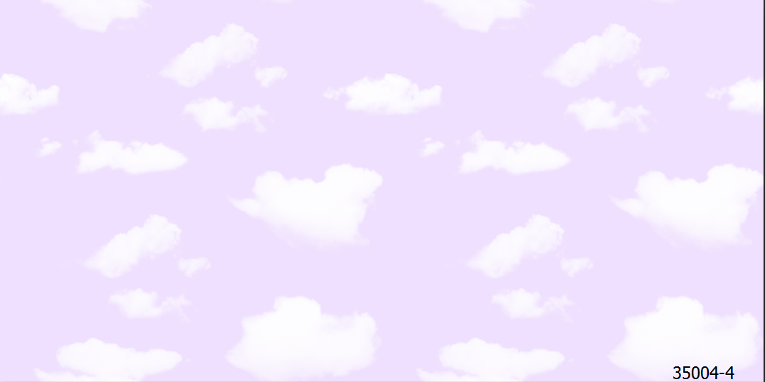 35004-4.png