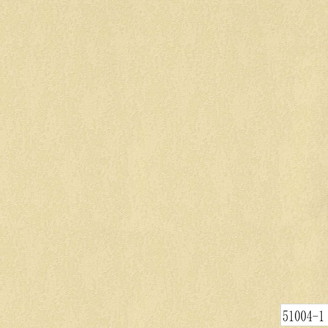 51004-1