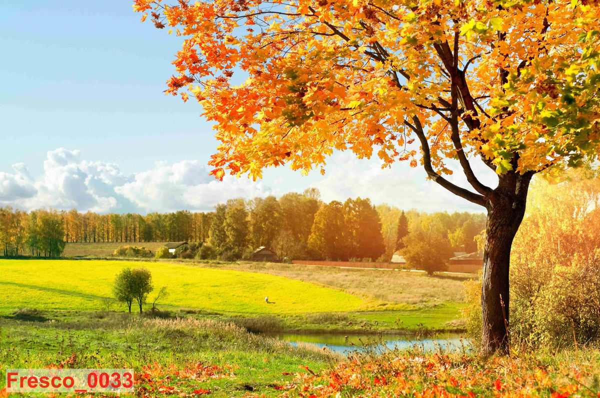 Fresco_0033