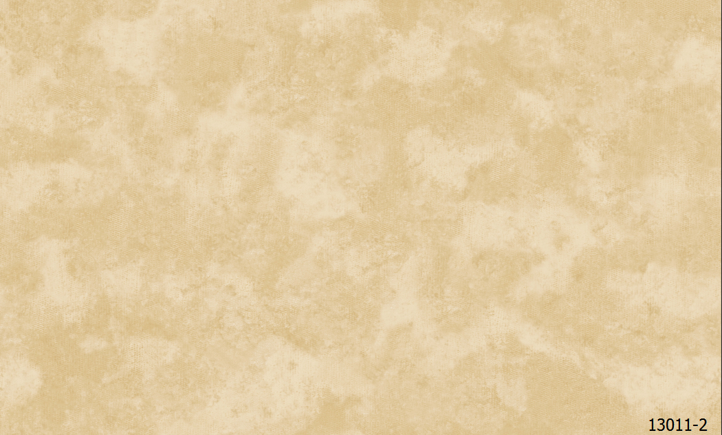 13011-2.png