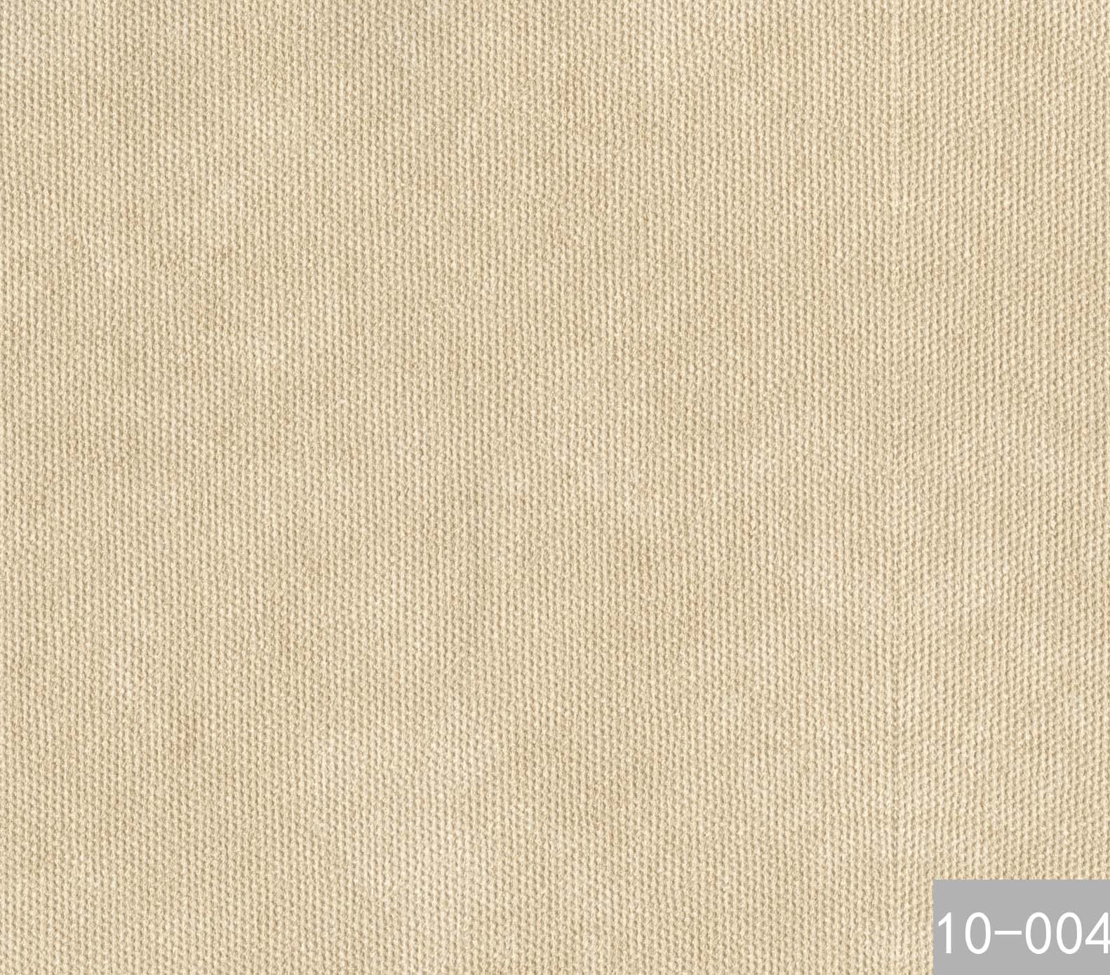 10-004