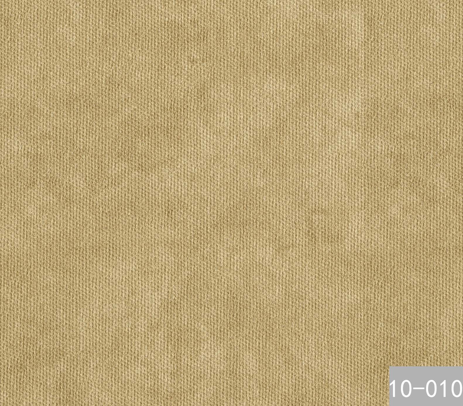 10-010