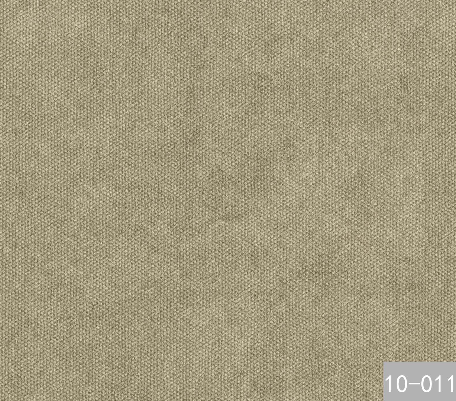 10-011
