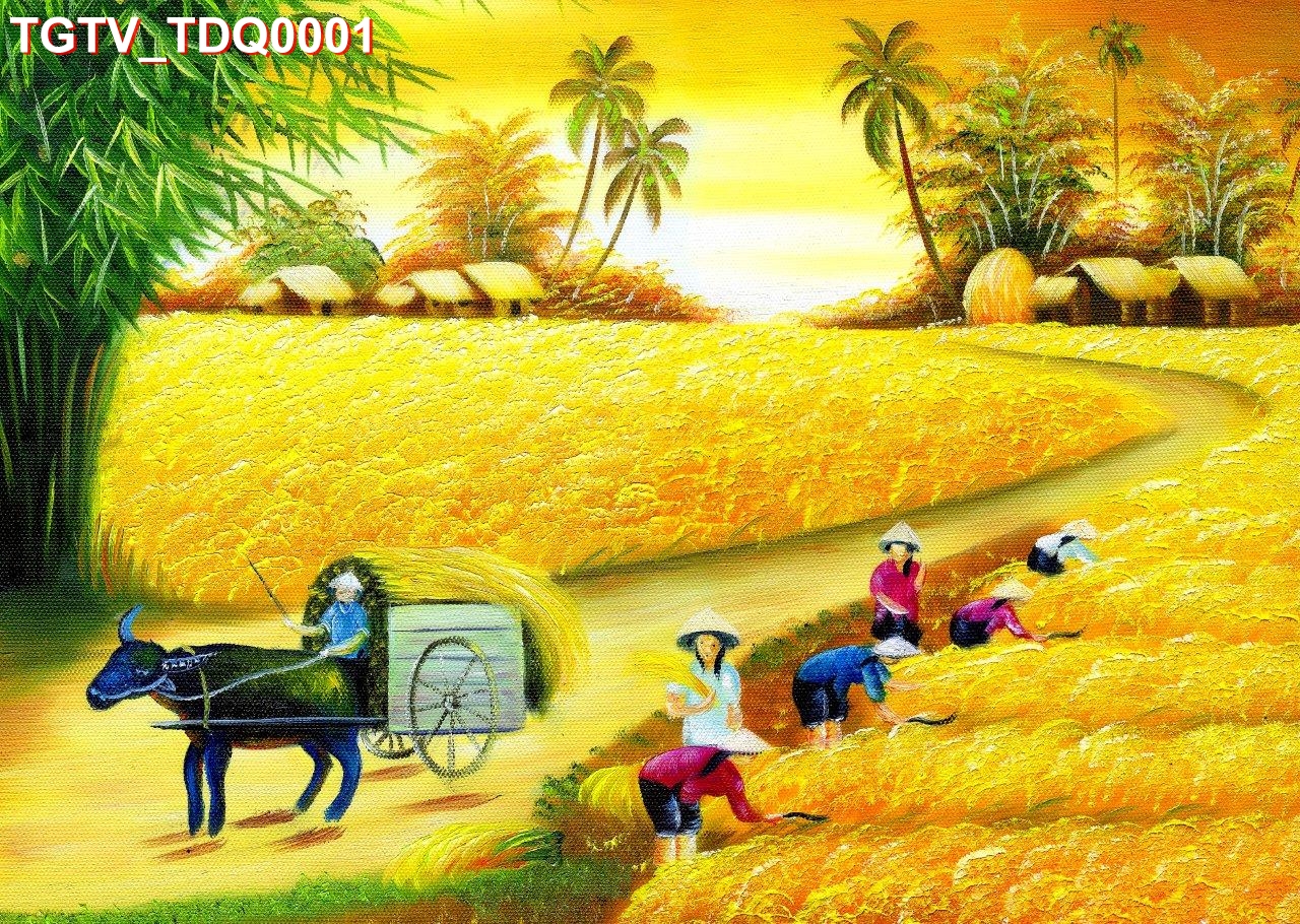 TGTV_TDQ0001