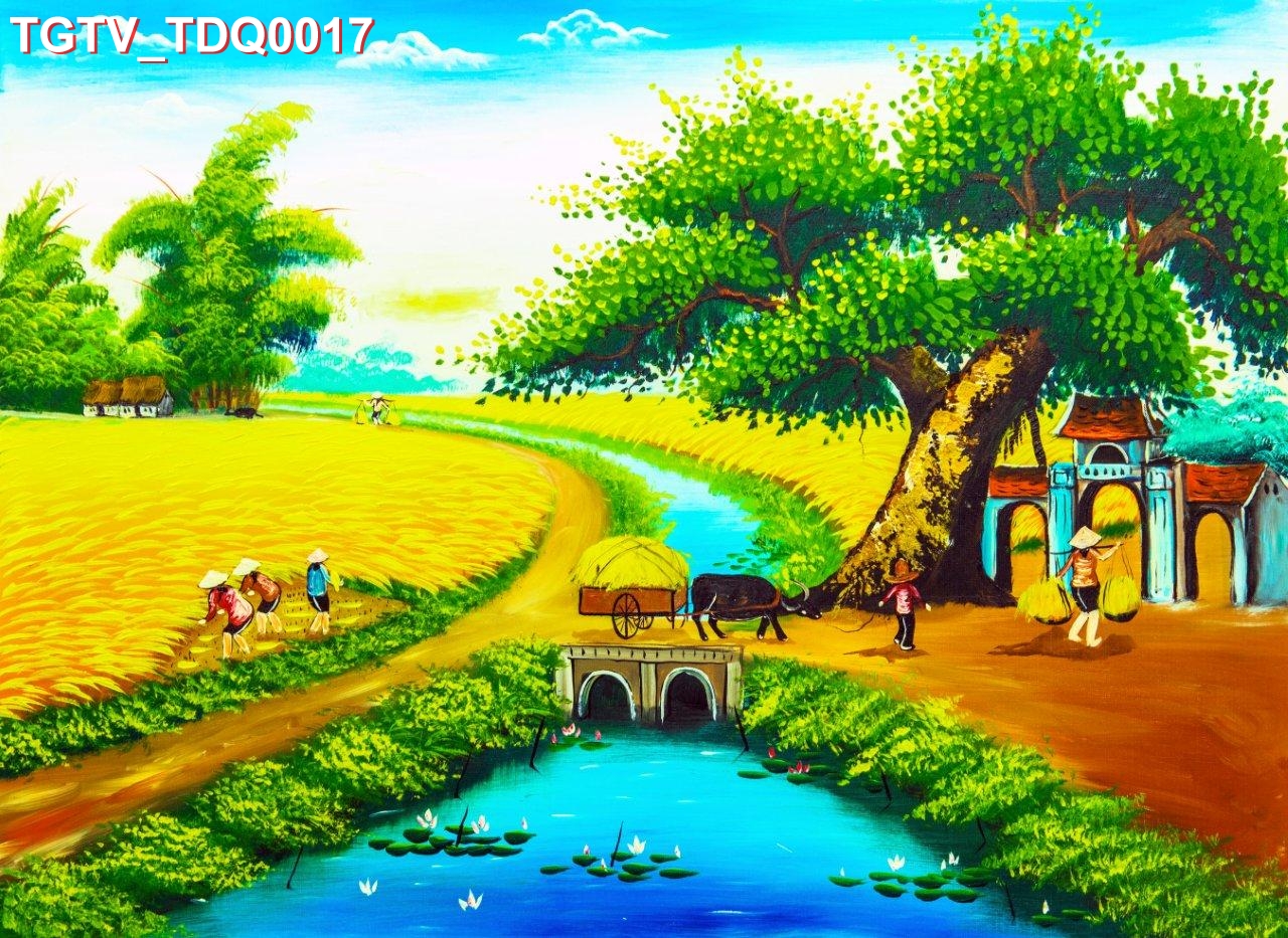 TGTV_TDQ0017