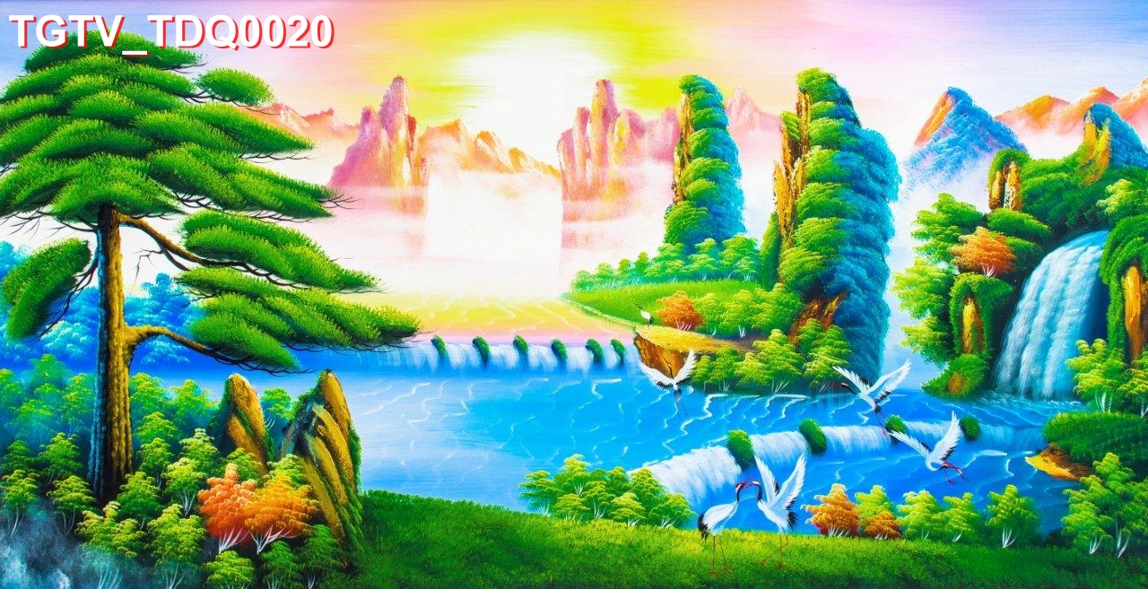 TGTV_TDQ0020