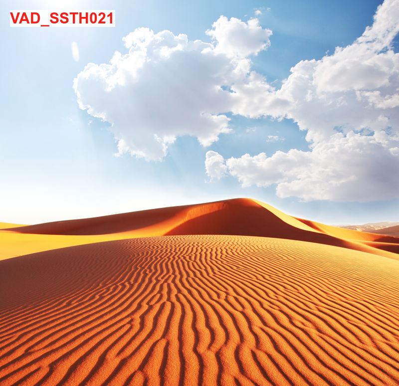 VAD_SSTH021
