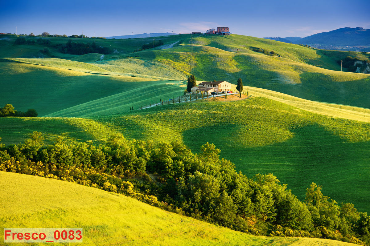 Fresco_0083