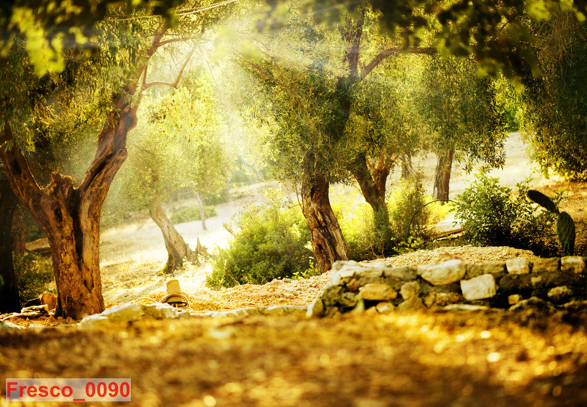 Fresco_0090